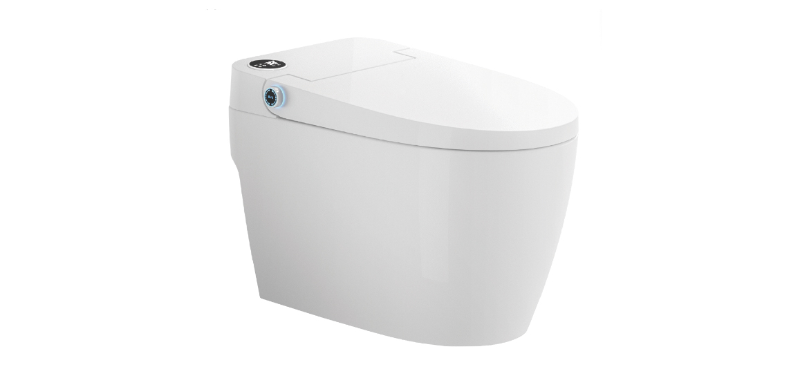 Smart Toilet