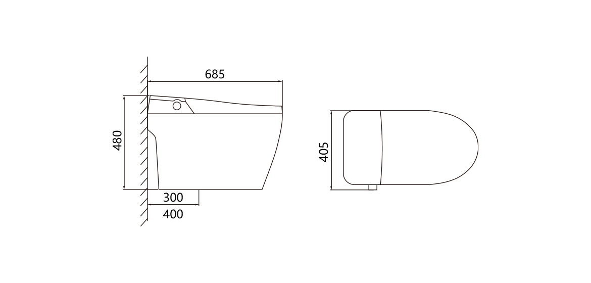 Smart Toilet