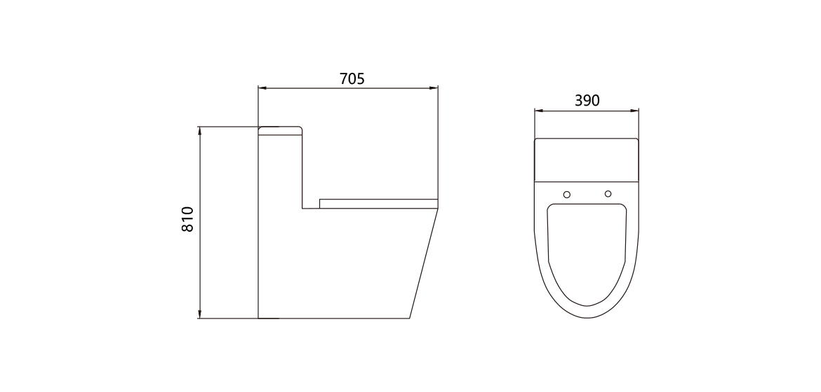 One Piece Toilet
