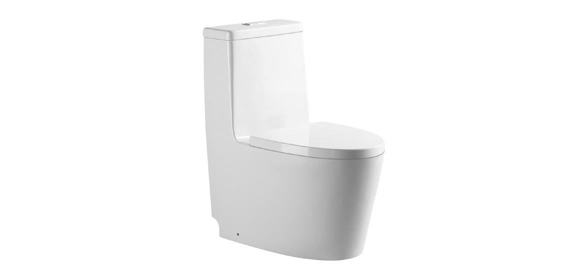 One Piece Toilet